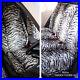 Full Set of Furry Grey Tiger Print Car Seat Covers Fits Most Cars